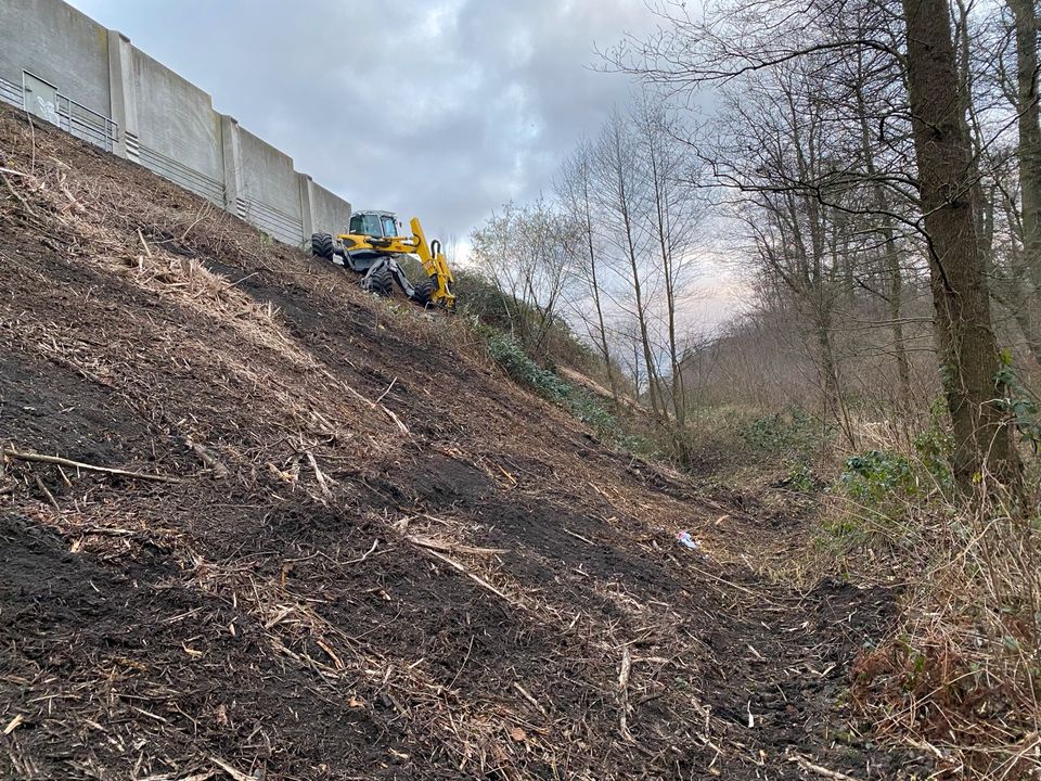 Schreitbaggerarbeiten Menzi Muck Schreitbagger in Berne