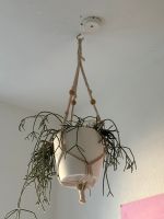 Drei Pflanzen Ampeln aus Makrame Mitte - Wedding Vorschau