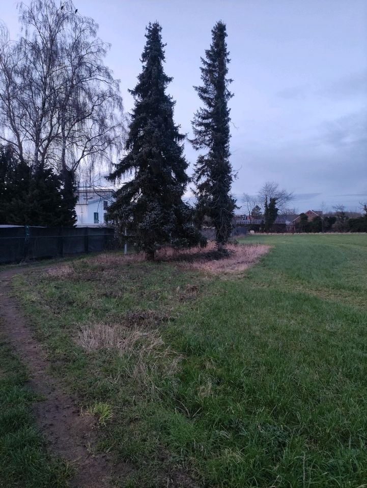 Gartengrundstück in NordrheinWestfalen Mönchengladbach Grundstück
