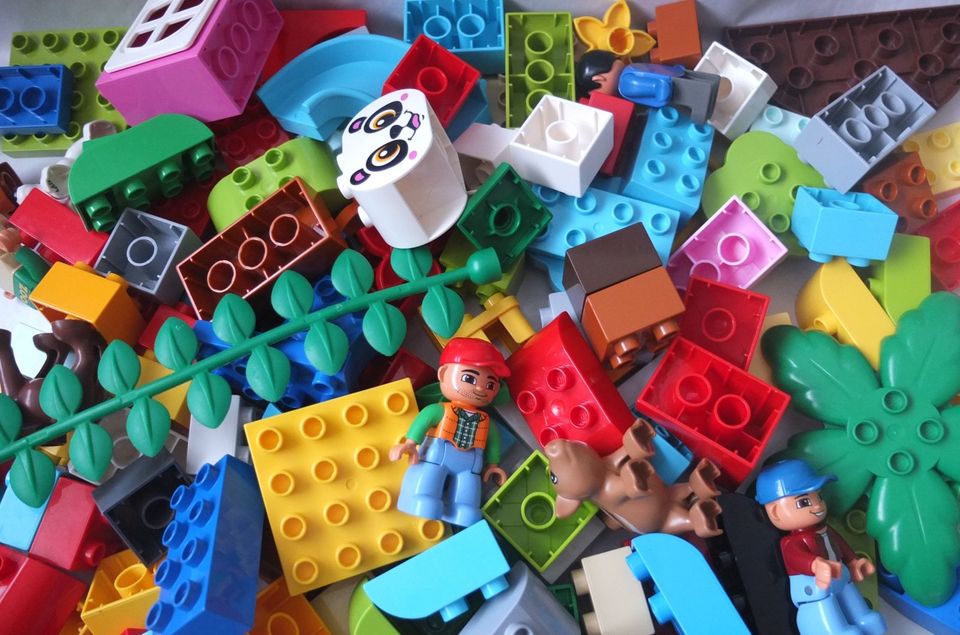 Lego Duplo Steine Bausteine Platten Figuren Tiere Set ab 50 Stk in Ottensoos