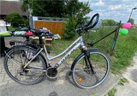 Damenfahrrad Brandenburg - Groß Pankow (Prignitz) Vorschau