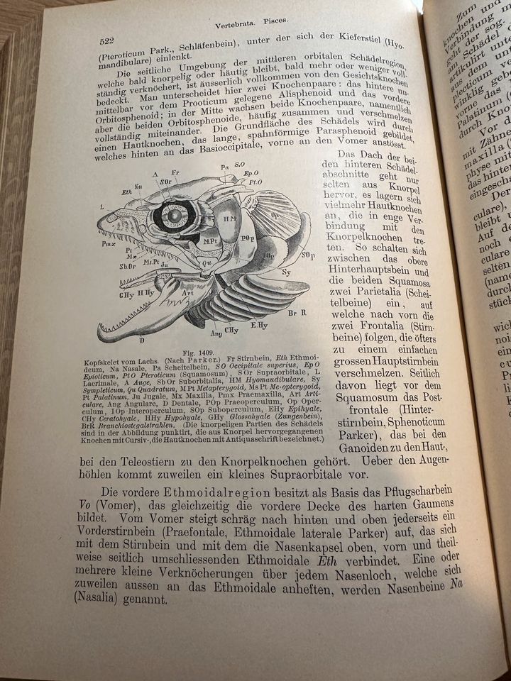 Grundzüge der Palaeontologie. Karl von Zittel, 1895 in Mahlberg