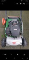 rasenmäher briggs stratton reliable starting Nordrhein-Westfalen - Bottrop Vorschau