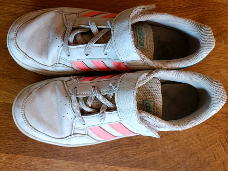 Mädchensneaker adidas Leder Größe 35 in Lindetal