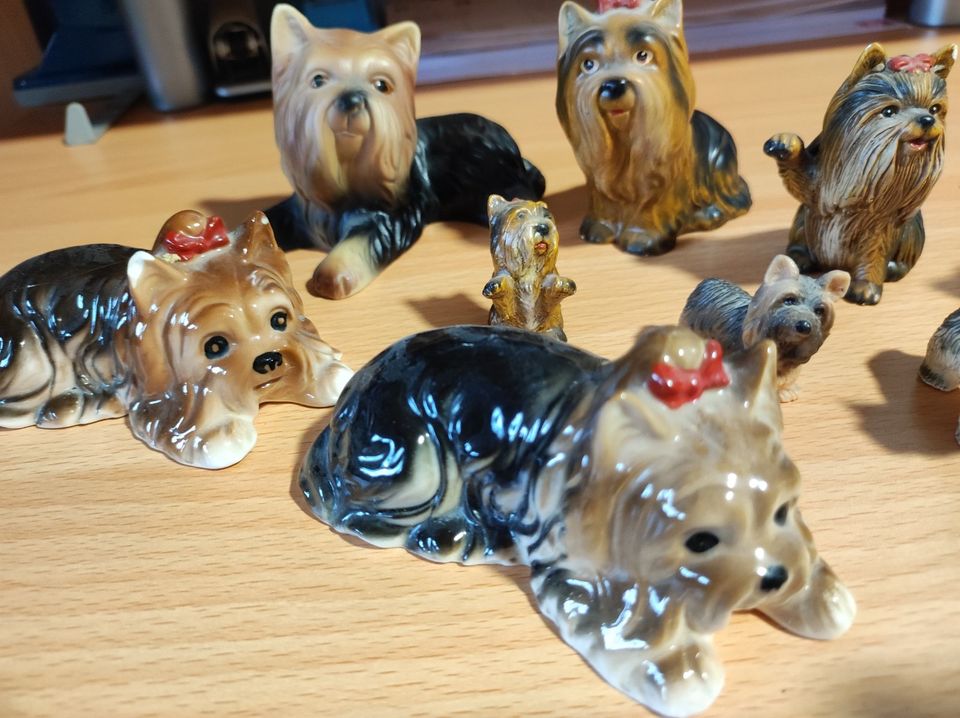 9 süße kleine Hunde Figuren (Yorkshire) in Stadthagen