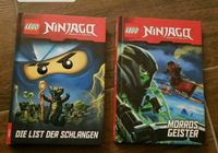 Lego Ninjago 2er Bücherset Sachsen-Anhalt - Hansestadt Seehausen Vorschau