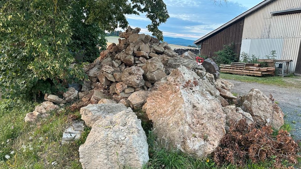 Feldsammelsteine; Naturstein; Steine; Kalksandstein in Hattorf am Harz