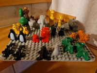Lego Duplo Tiere,Zoo,Mutter und Kind,Löwe,Giraffe usw.,TOP !!! Rheinland-Pfalz - Neuwied Vorschau