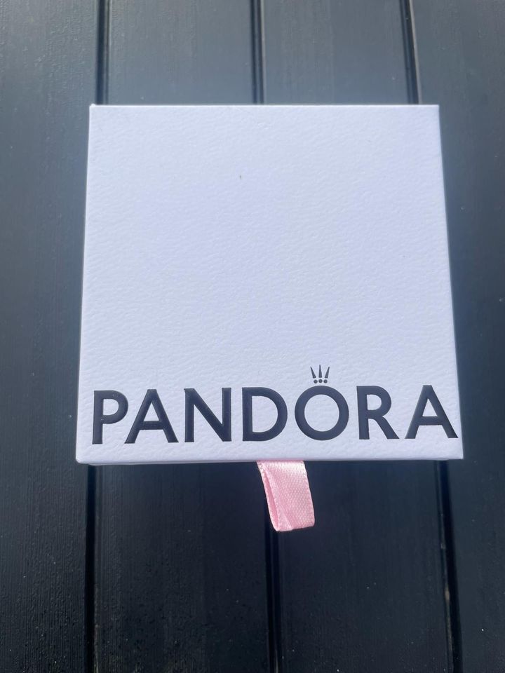 Pandora Armband in Puderbach