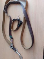 Set von Hunter, Leine und Halsband  Halsumfang 25 - 30 cm Saarland - Bexbach Vorschau