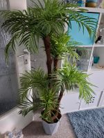 Palme, künstlich, Kunstpflanze, 1,40m hoch Eimsbüttel - Hamburg Schnelsen Vorschau