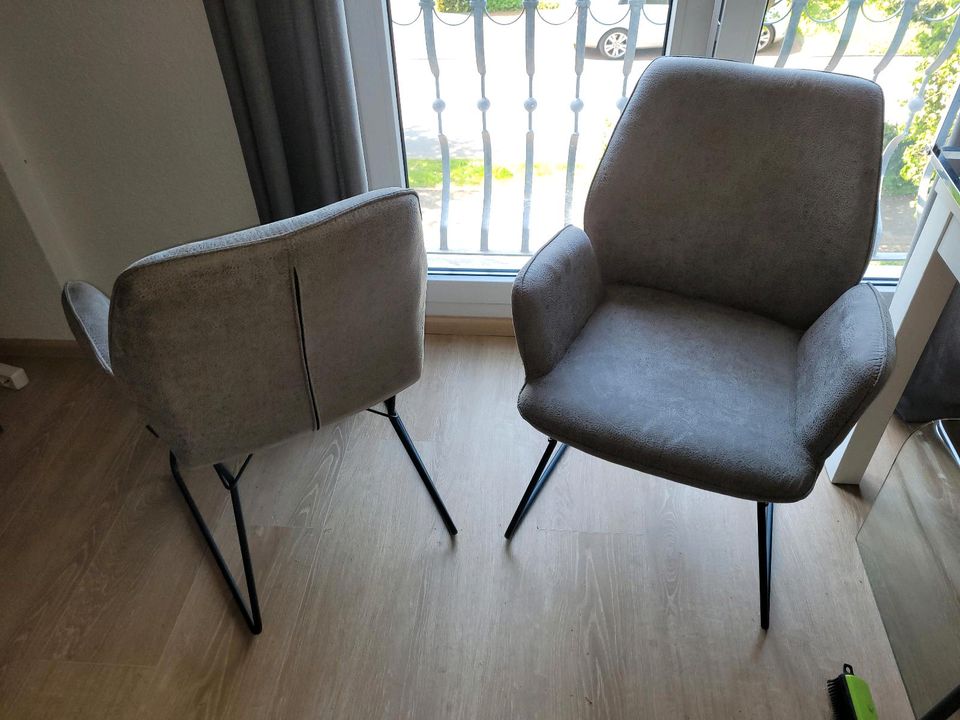 Graue Esstisch Stühle in Lippstadt