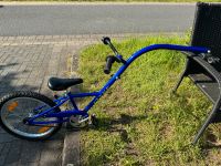 Flyke Fahrrad Nachläufer 20 Zoll Bayern - Aschaffenburg Vorschau