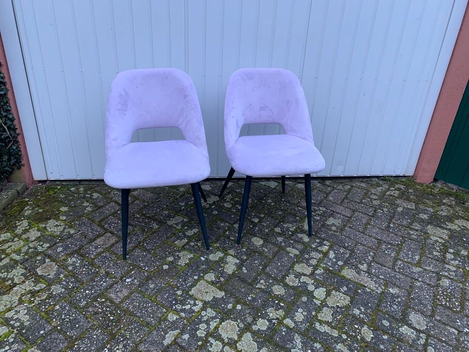 2 Stühle Sessel sehr gut erhalten mit Samtbezug in Rosa in Neuenhaus