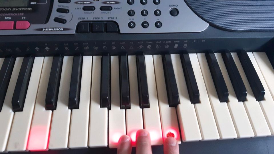 Casio LK-60 Key Lightning Keyboard für Anfänger, 100 Songbank in Berlin