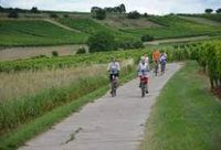 Leute für gemeinsame Touren mit dem E-Bike Niedersachsen - Cloppenburg Vorschau