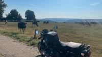 BMW R100R Classic Nordrhein-Westfalen - Kaarst Vorschau