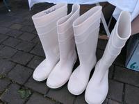 Dunlop Gummistiefel mit Stahlkappen Hessen - Usingen Vorschau