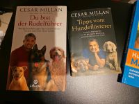 Cesar Millan Hundebuch Erziehung Welpe Rheinland-Pfalz - Waldmohr Vorschau