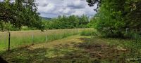 idyllisches Gartengrundstück Püttlingen "Auf Penselfeld am Wald" Saarland - Püttlingen Vorschau