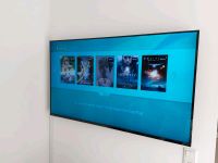 Fernseher Panasonic 58 Zoll Hessen - Großkrotzenburg Vorschau