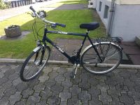 KTM Fahrrad 28Zoll Nordrhein-Westfalen - Detmold Vorschau