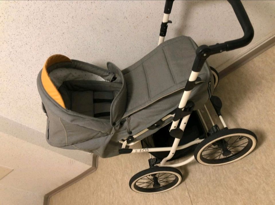 Kinderwagen Feder F03 in Freital