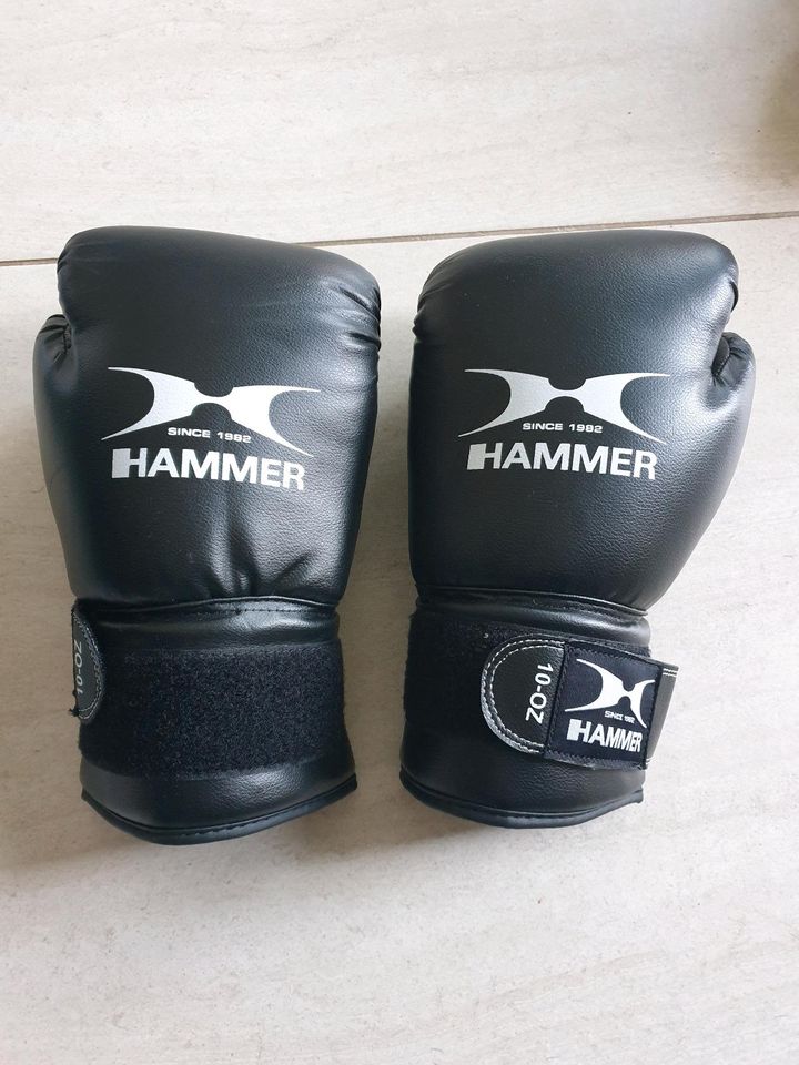 Hammer Boxhandschuhe 10-OZ in Dortmund