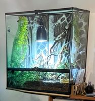 Exo Terra Terrarium mit Vollausstattung für z.B. Chamäleon Nordrhein-Westfalen - Siegen Vorschau