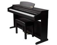 E-Piano Artesia DP-10e Rosewood NEU und original verpackt Rheinland-Pfalz - Niederzissen Vorschau