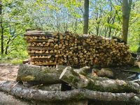 Brennholz zu verkaufen Nordrhein-Westfalen - Schmallenberg Vorschau