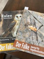 Der Falke Journal für Vogelbeobachter / Eulen und Geier Nordrhein-Westfalen - Vettweiß Vorschau