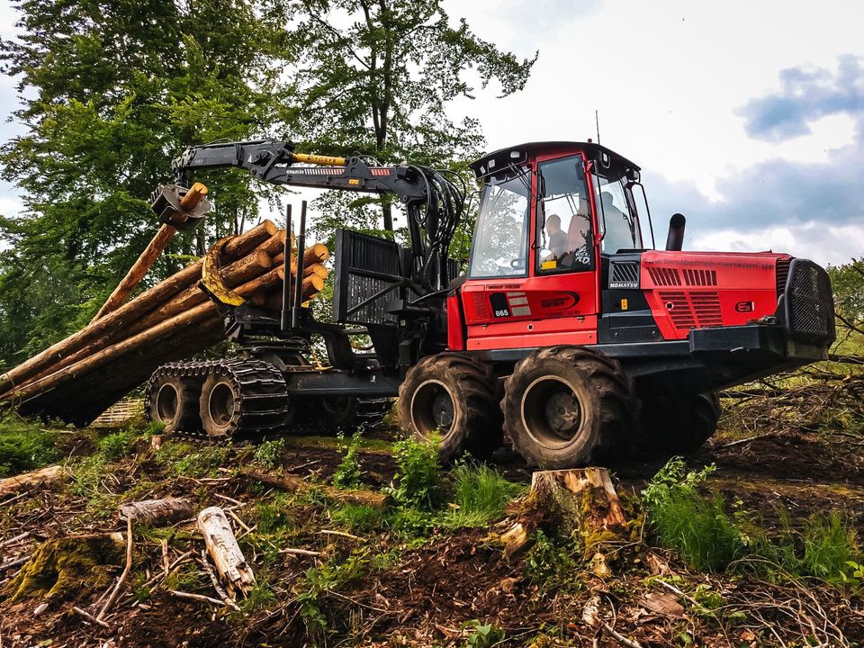 *Holzeinschlag und Holzrückung* in Sundern (Sauerland)