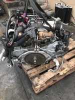 Motor Audi S8 + DDT 4.0 TFSI 605PS Komplett Sachsen - Mildenau Vorschau