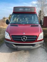 Mercedes-Benz Sprinter 516 Sachsen - Crimmitschau Vorschau