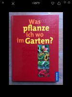 Was pflanze ich wo im Garten Die besten Pflanzen für den Standort Innenstadt - Köln Altstadt Vorschau