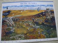 US Briefmarken Bogen "Arctic Tundra " Postfrisch Thüringen - Altenburg Vorschau