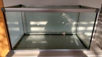 Aquarium 100x50x55 Nordrhein-Westfalen - Selm Vorschau