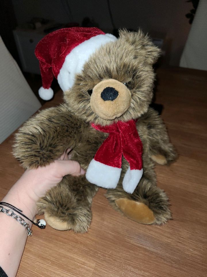 Brummender Teddy Bär in Radebeul