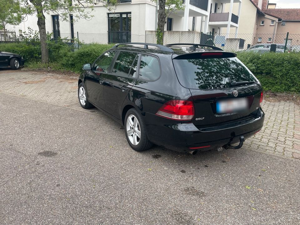 VW Golf 1.6 TDI in Landau in der Pfalz
