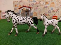 Schleich Set Stute mit Fohlen Nordrhein-Westfalen - Höxter Vorschau