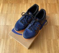 Asics Gel-Flare Herren 43,5, Hallensportschuh, Hallenschuh Sachsen - Plauen Vorschau