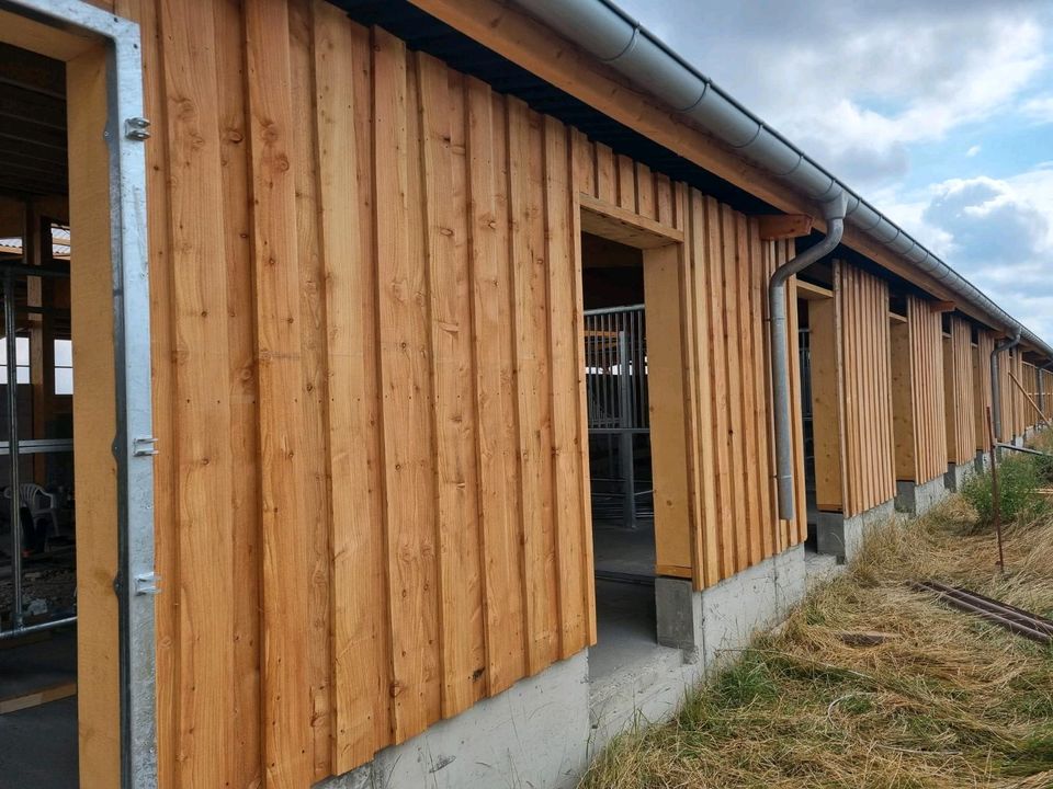 Lärche Brett 3m Fassade Verschalung Terrasse Sichtschutz Zaun Diy in Wettin-Löbejün