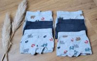 6 Boxershort Coswig (Anhalt) - Buko Vorschau