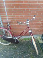 Amsterdam Fahrrad fahrbereit Nordrhein-Westfalen - Telgte Vorschau