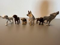 Schleich Hunde und eine Katze Nordrhein-Westfalen - Recke Vorschau