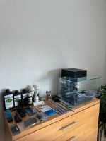 XXL Paket Fluval Edge Aquarium Garnelen Bayern - Kürnach Vorschau