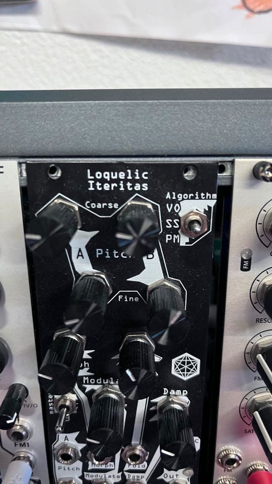 Noise Engineering Loquelic Iteritas Black in Stutensee