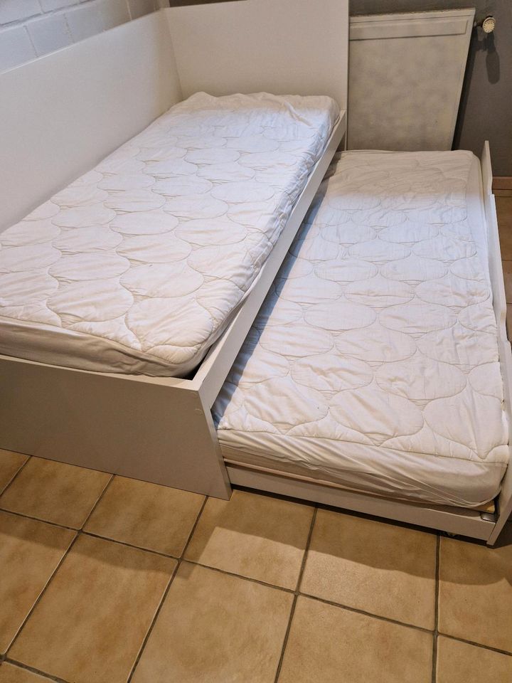 Tagesbett von IKEA in Pluwig