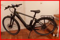 E-Bike mit Bosch CX und 620 Watt Trekking Rad 52 RH Rheinland-Pfalz - Mutterstadt Vorschau